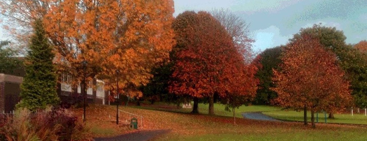 Blog Header Image
