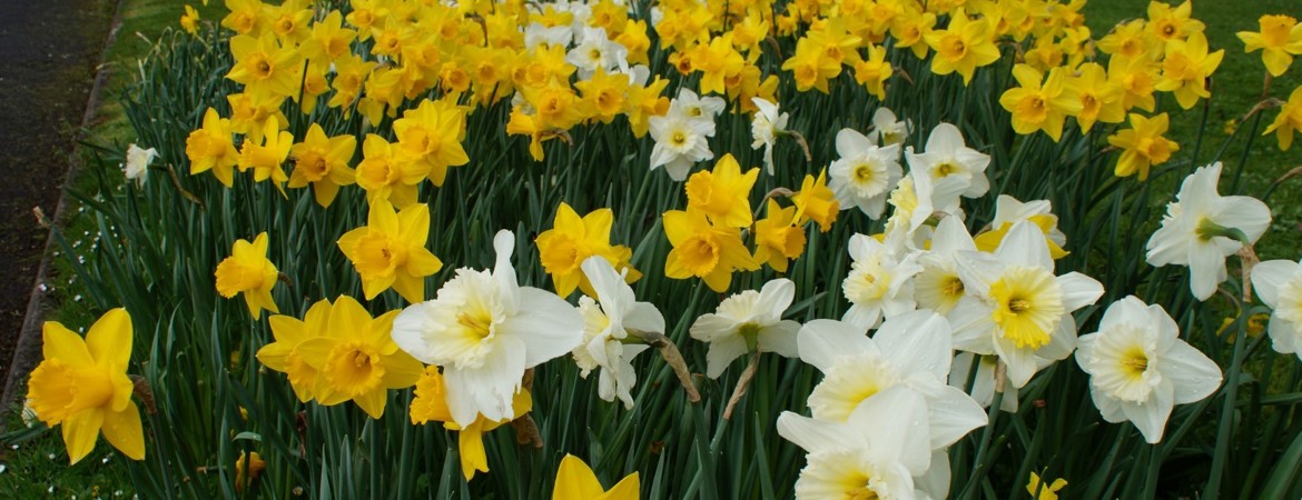 Blog Header Image